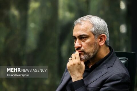 مدنی زاده: مالیات شرکت‌های شبه دولتی طبق قانون اخذ می‌شود+ فیلم